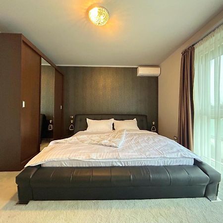 Thea Apartment ティミショアラ エクステリア 写真