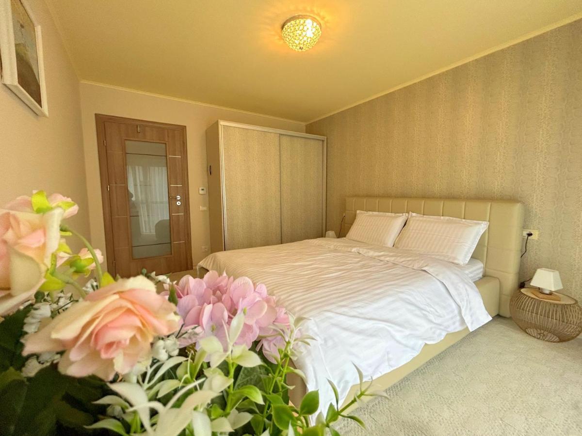 Thea Apartment ティミショアラ エクステリア 写真