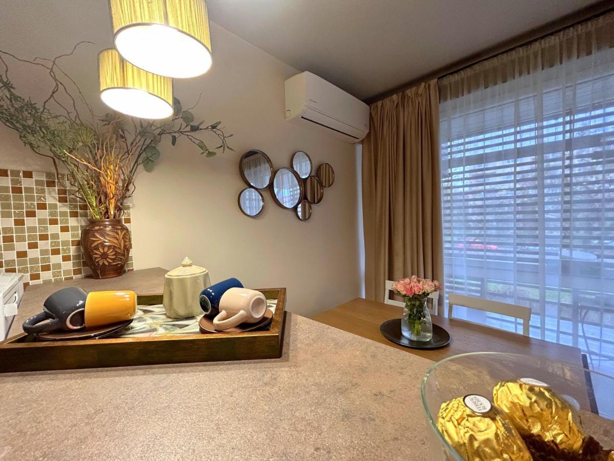 Thea Apartment ティミショアラ エクステリア 写真