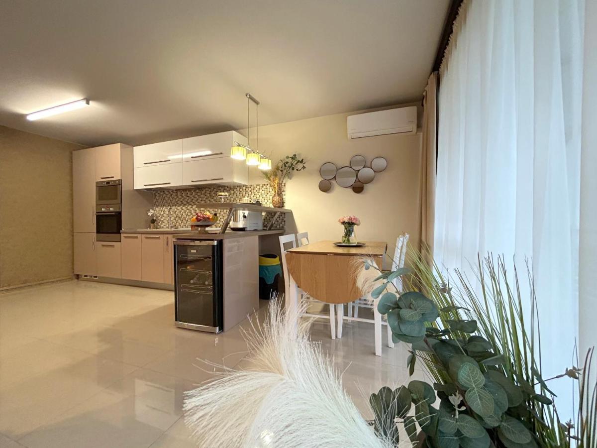 Thea Apartment ティミショアラ エクステリア 写真