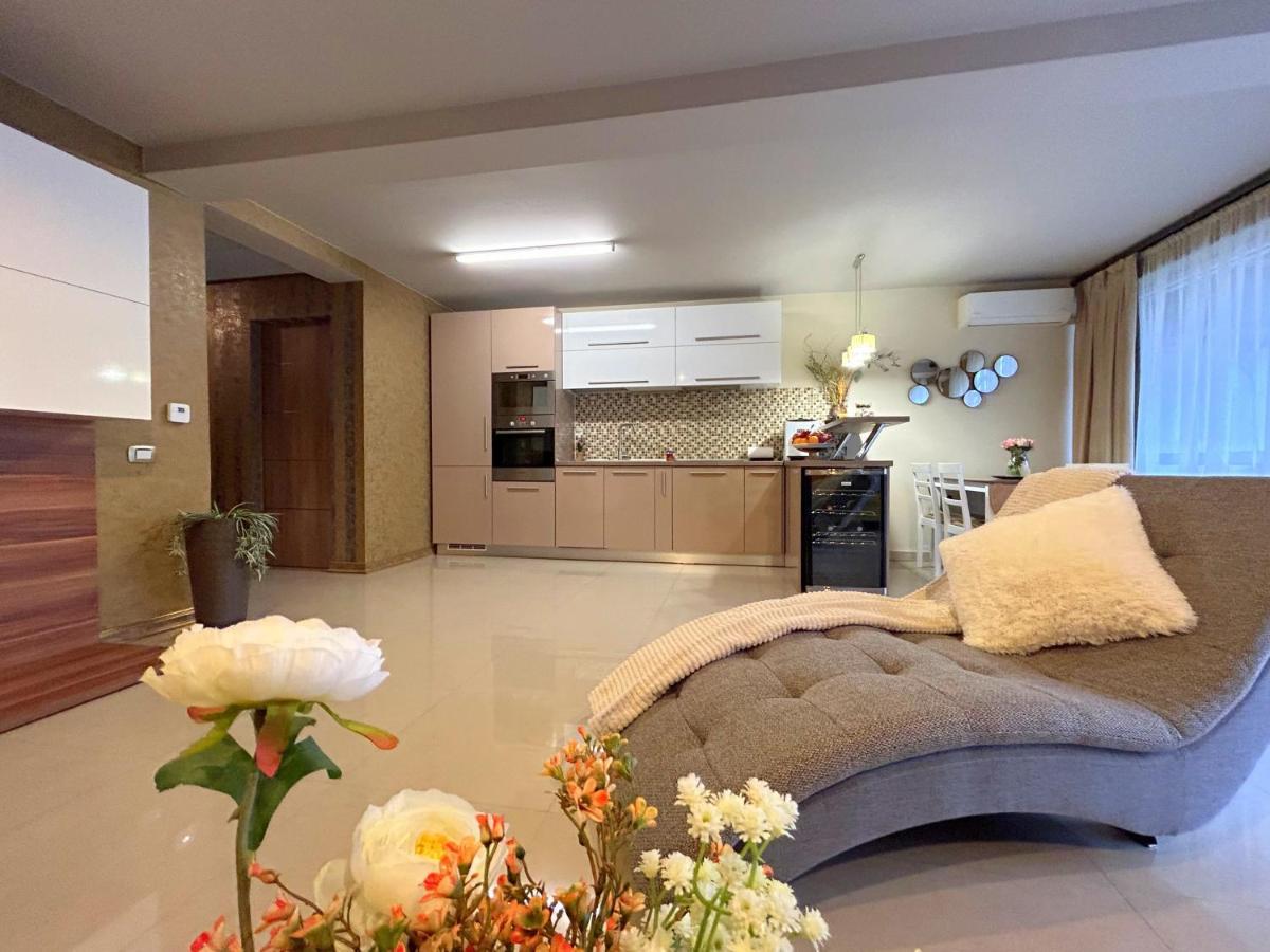 Thea Apartment ティミショアラ エクステリア 写真